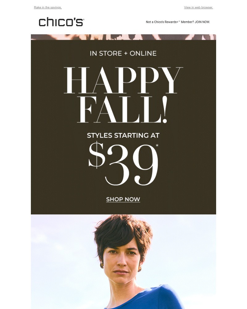 Screenshot of email with subject /media/emails/fall-vibes-39-buys-579cdc-cropped-9f9dfddf.jpg