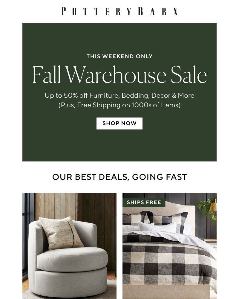 Screenshot of email with subject /media/emails/fall-warehouse-sale-this-weekend-only-768dc3-cropped-d11a8094.jpg