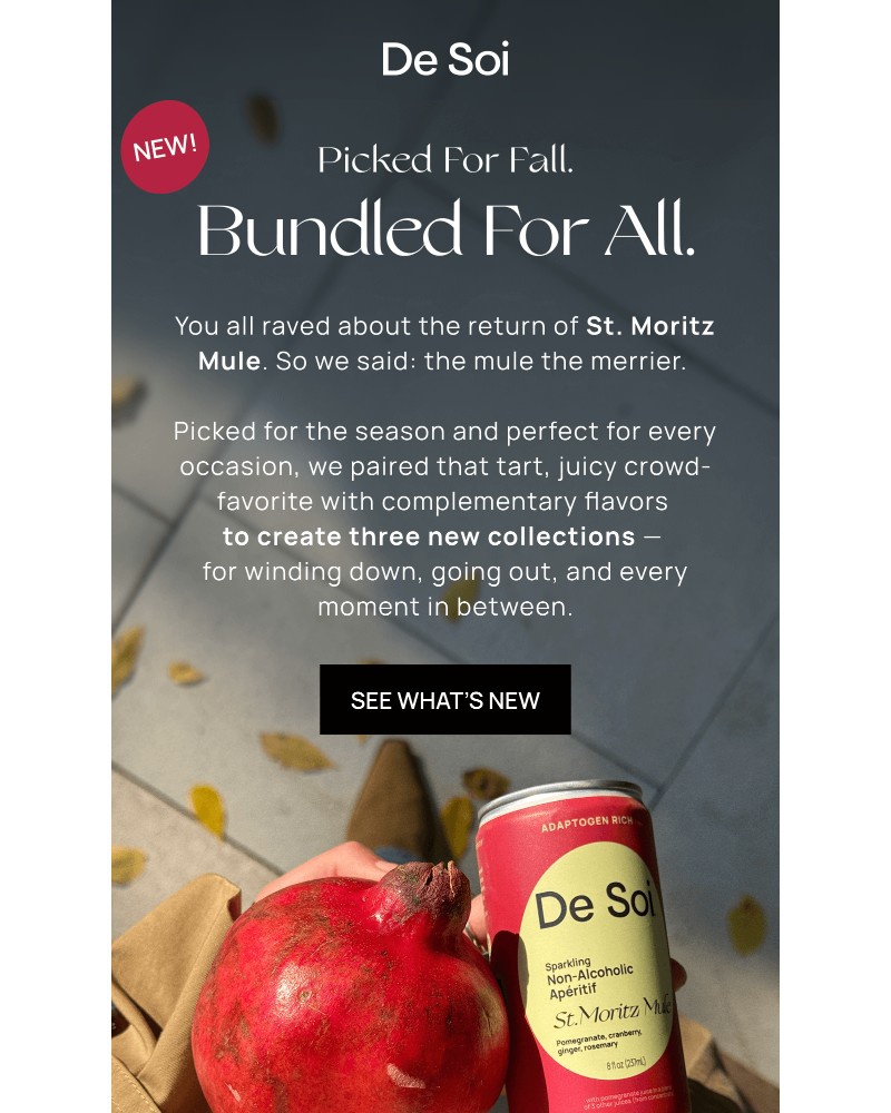 Screenshot of email with subject /media/emails/falls-best-bundles-just-dropped-bdc50f-cropped-bb260a69.jpg