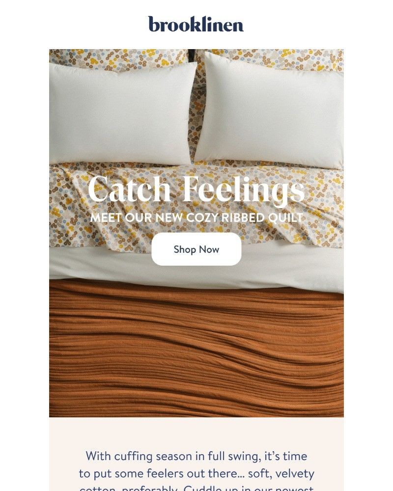 Screenshot of email with subject /media/emails/falls-favorite-new-layer-is-here-79ab7f-cropped-9cb2c344.jpg