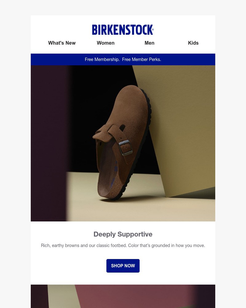 Screenshot of email with subject /media/emails/falls-primary-color-more-ways-to-wear-rich-earthy-browns-94d3f3-cropped-f92880f7.jpg