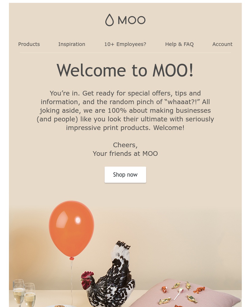 Screenshot of email with subject /media/emails/fantastic-youre-in-cropped-5b9e2c94.jpg
