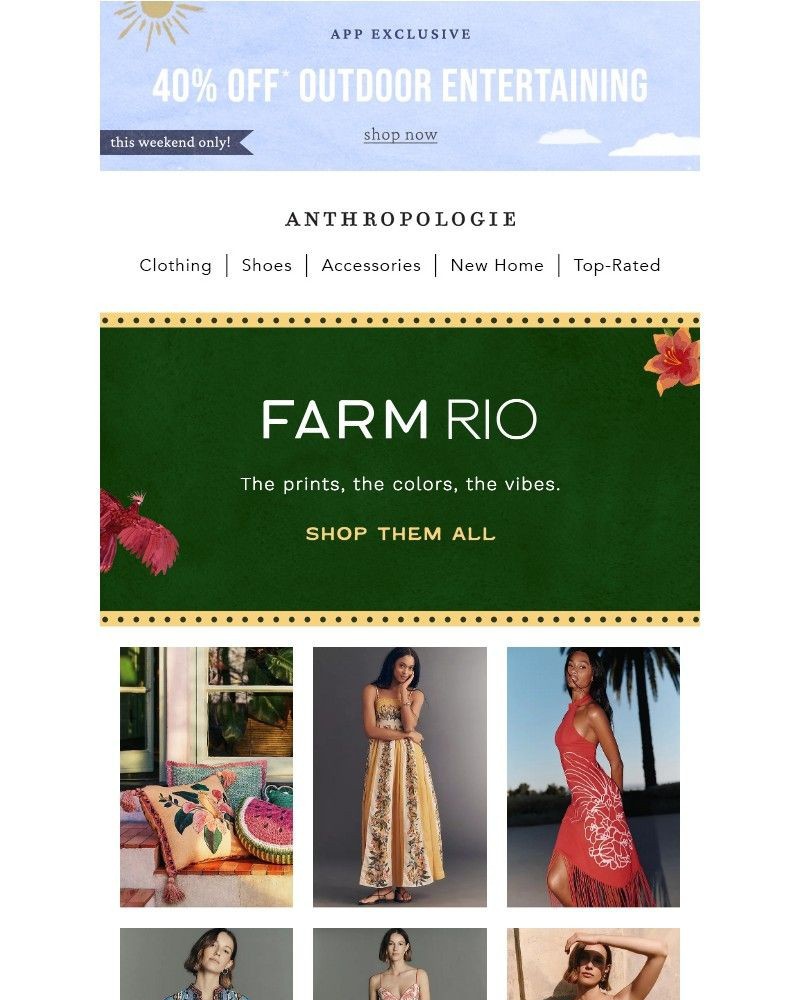 Screenshot of email with subject /media/emails/farm-rio-summer-c4959d-cropped-29b919a0.jpg