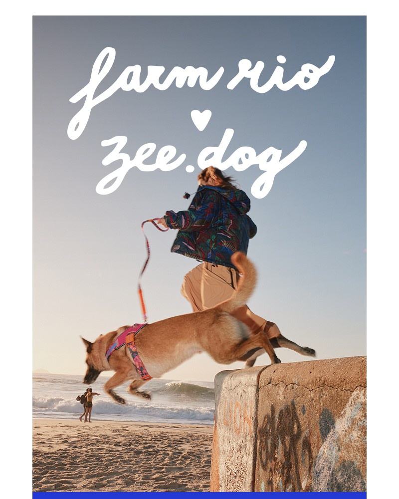 Screenshot of email with subject /media/emails/farm-rio-zeedog-collab-restocked-items-are-here-0960d9-cropped-3ec6a294.jpg