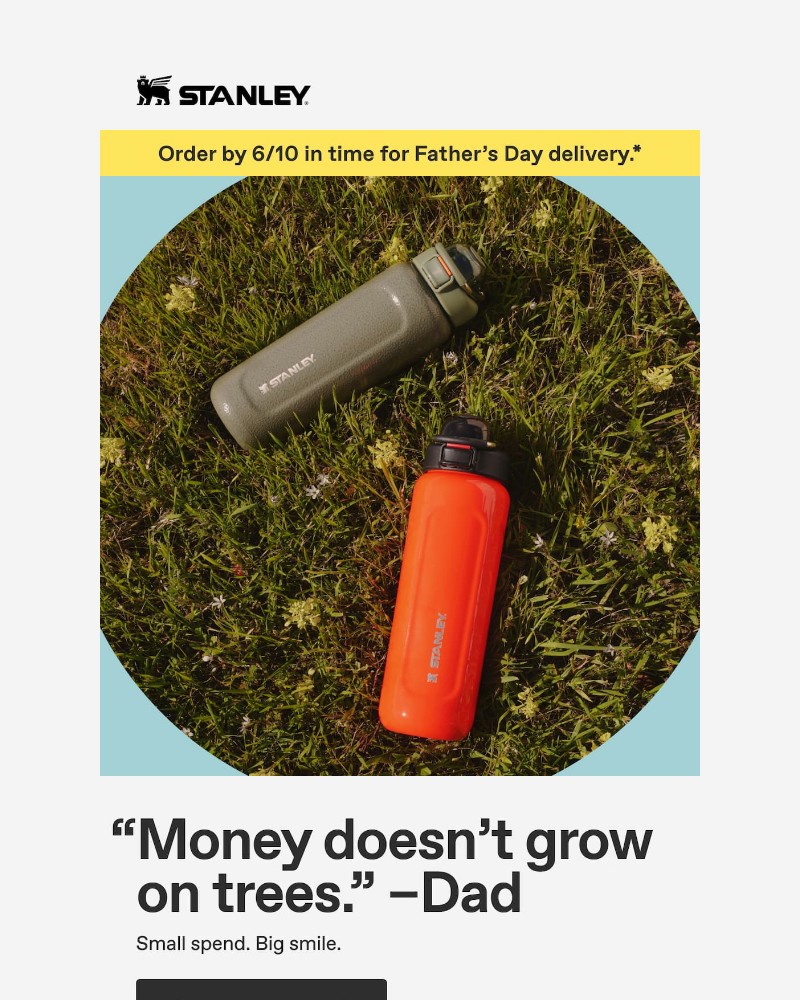 Screenshot of email sent to a Stanley Newsletter subscriber