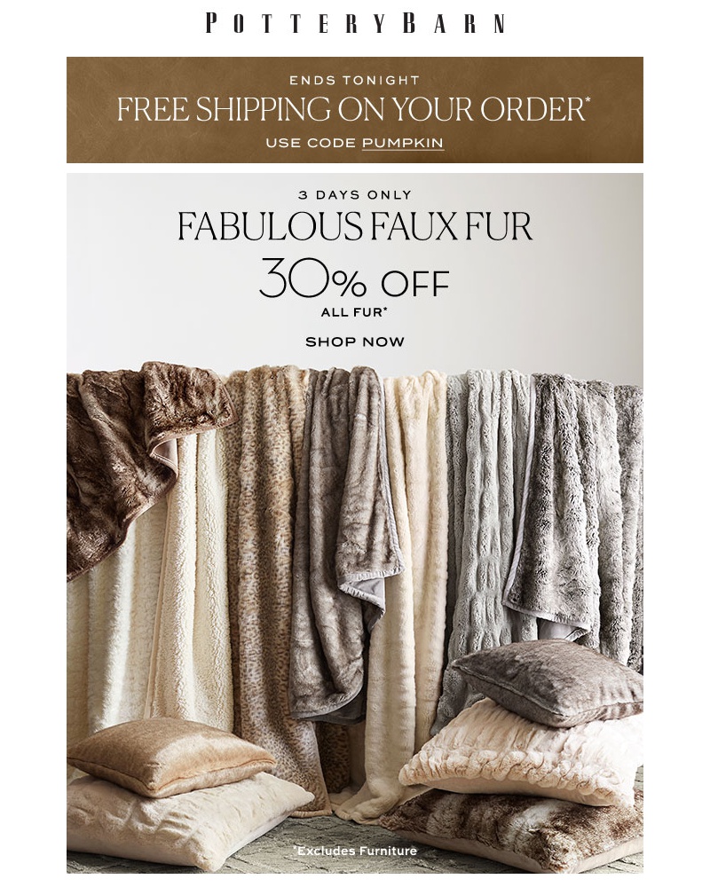 Screenshot of email with subject /media/emails/faux-fur-never-felt-so-good-cropped-735c02ba.jpg