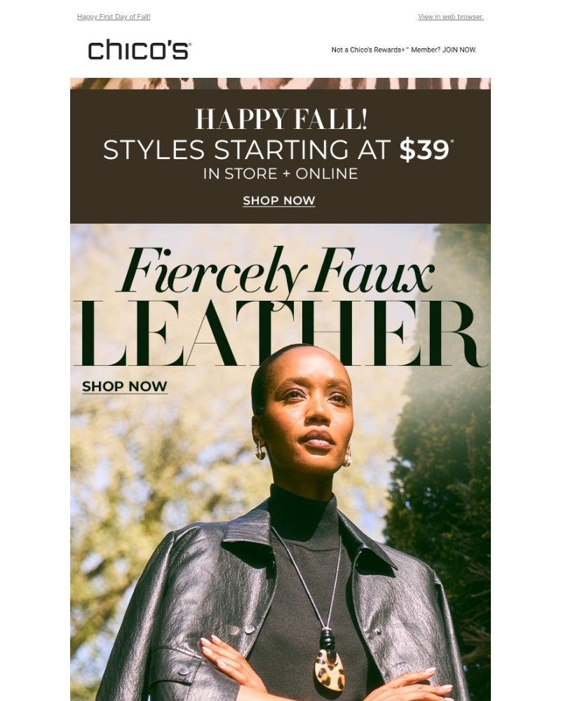 Screenshot of email with subject /media/emails/faux-leather-weather-styles-from-39-c48841-cropped-9b14e276.jpg