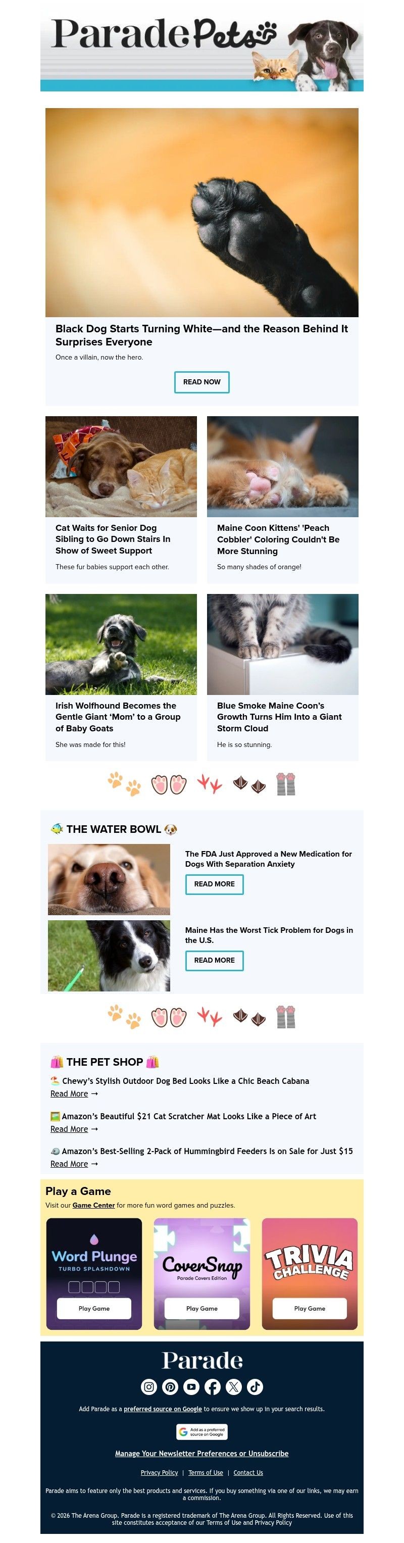 Screenshot of email with subject /media/emails/fbc6eb32-5569-4d01-bf69-dc048e21d788.jpg