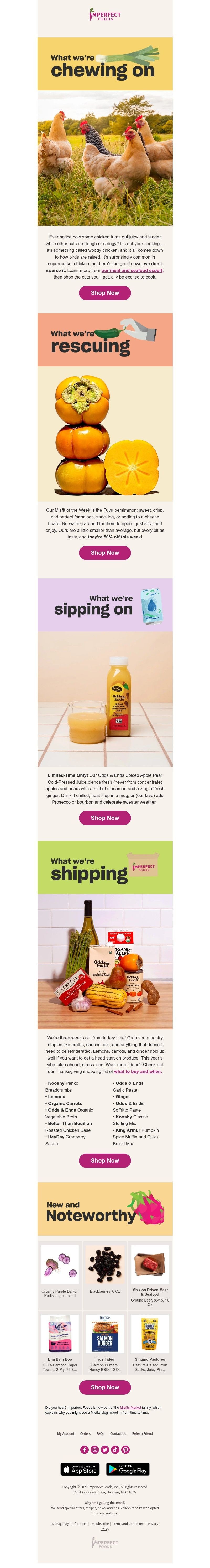 Screenshot of email with subject /media/emails/fc8f0dd1-1478-4d6c-997a-6af8cddd32ab.jpg