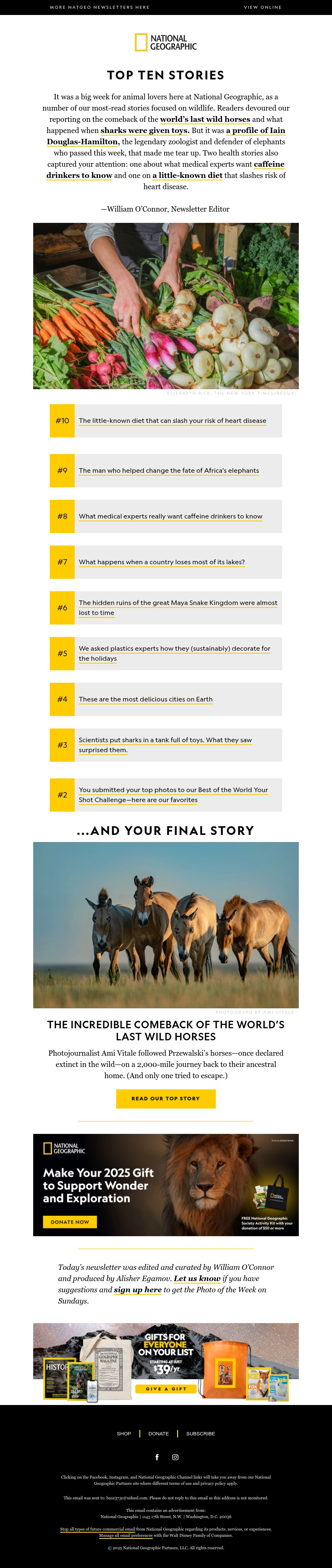 Screenshot of email with subject /media/emails/fd3936d9-7396-4c8c-999d-53f121757544.jpg