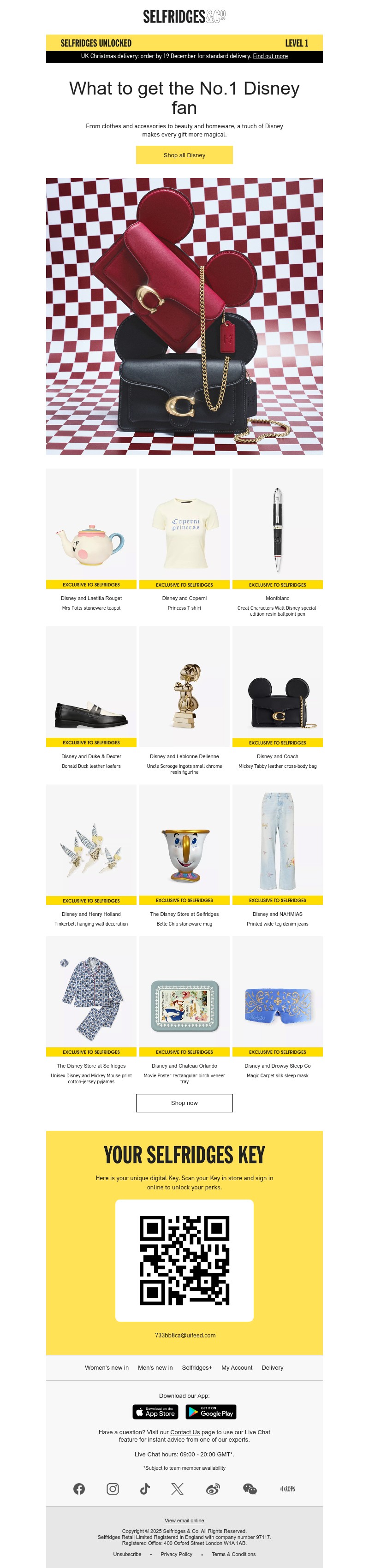 Screenshot of email with subject /media/emails/fd59aa79-5cd6-4114-b62f-dd7a053c8e93.jpg