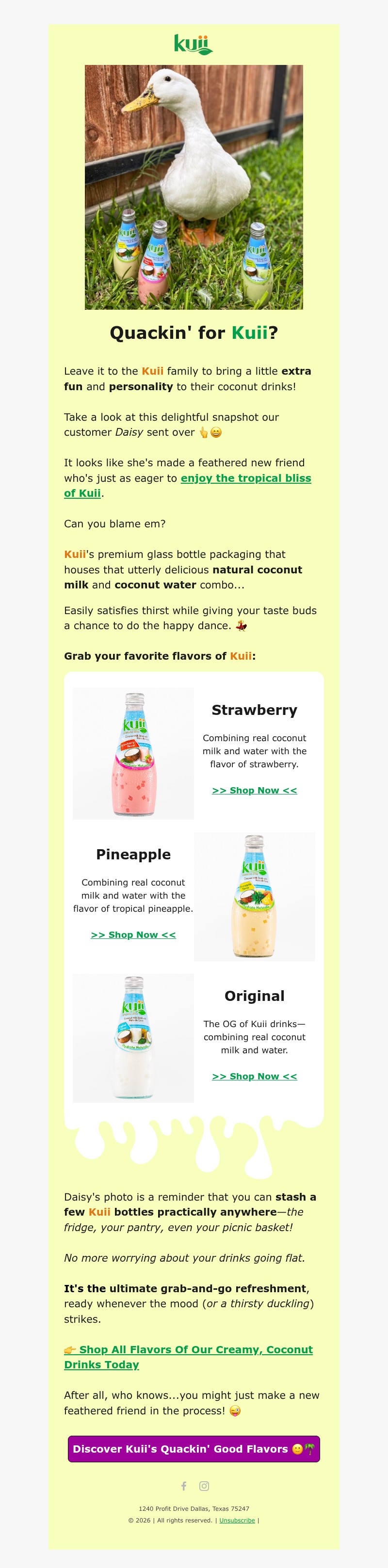 Screenshot of email with subject /media/emails/fdb79d70-74e3-4faa-ab69-e5c0af938fdb.jpg