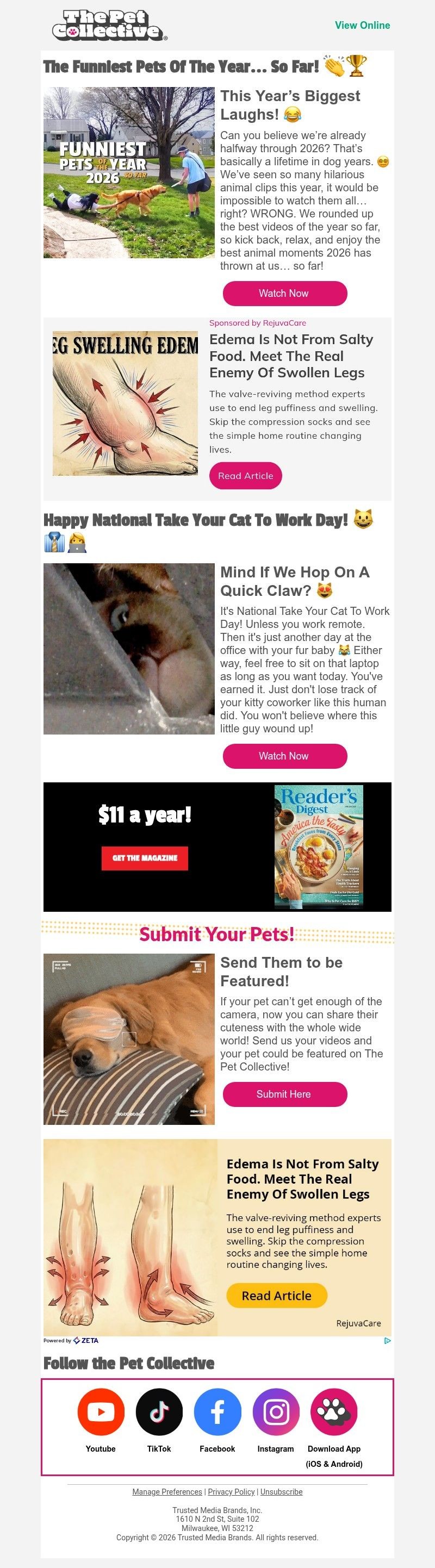 Screenshot of email with subject /media/emails/fdbb3366-2590-4e7f-bd6f-331fa6b39b06.jpg