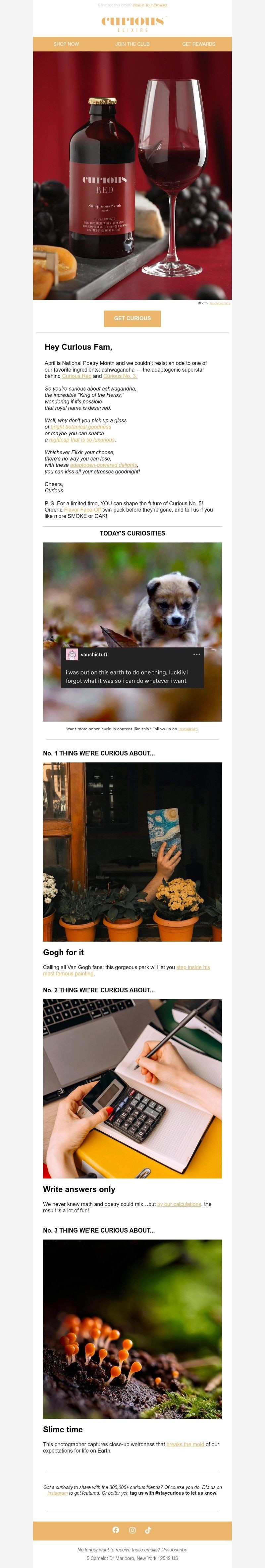 Screenshot of email with subject /media/emails/fe476cc0-9e29-4498-add9-eb0e402352b9.jpg