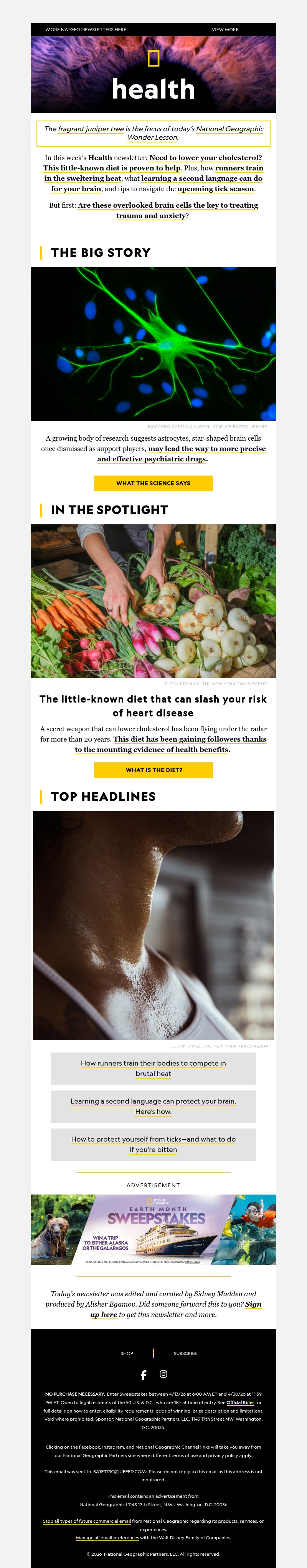 Screenshot of email with subject /media/emails/fe4f9980-1a52-415c-890d-23c4c6698f8b.jpg