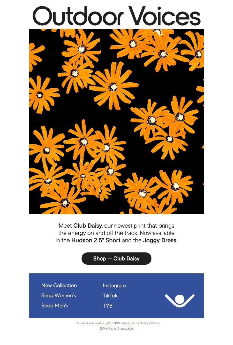 Screenshot of email with subject /media/emails/fe80f861-bb65-4afe-bbab-8fc30463d19a.jpg