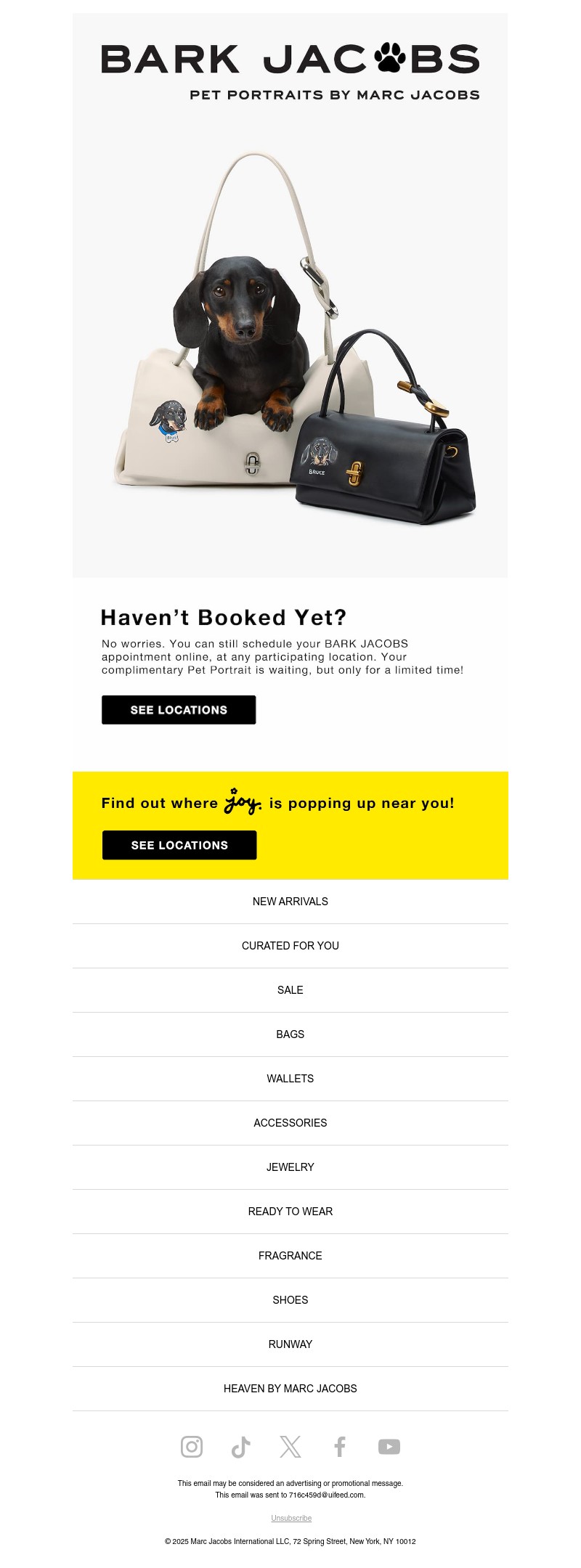 Screenshot of email with subject /media/emails/fe8a78ce-8183-459e-a4f6-550eef9ba91d.jpg