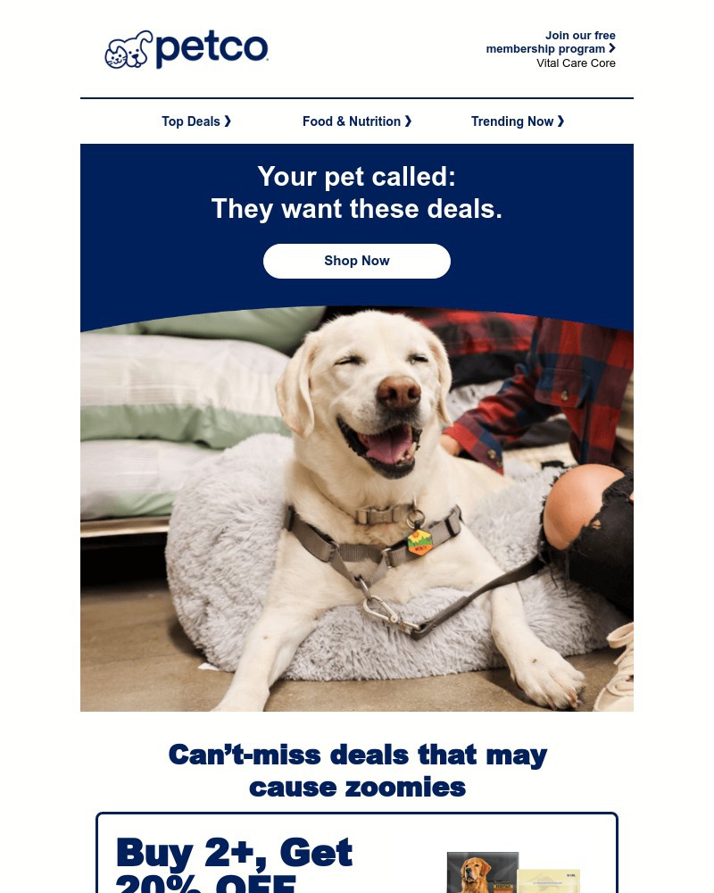 Screenshot of email sent to a Petco Newsletter subscriber