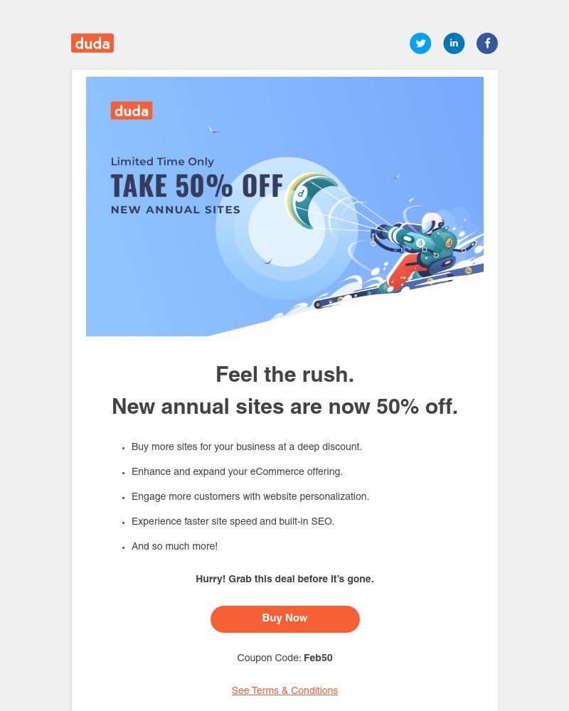 Screenshot of email with subject /media/emails/february-sale-50-off-new-annual-sites-1f3f36-cropped-e5ea43aa.jpg