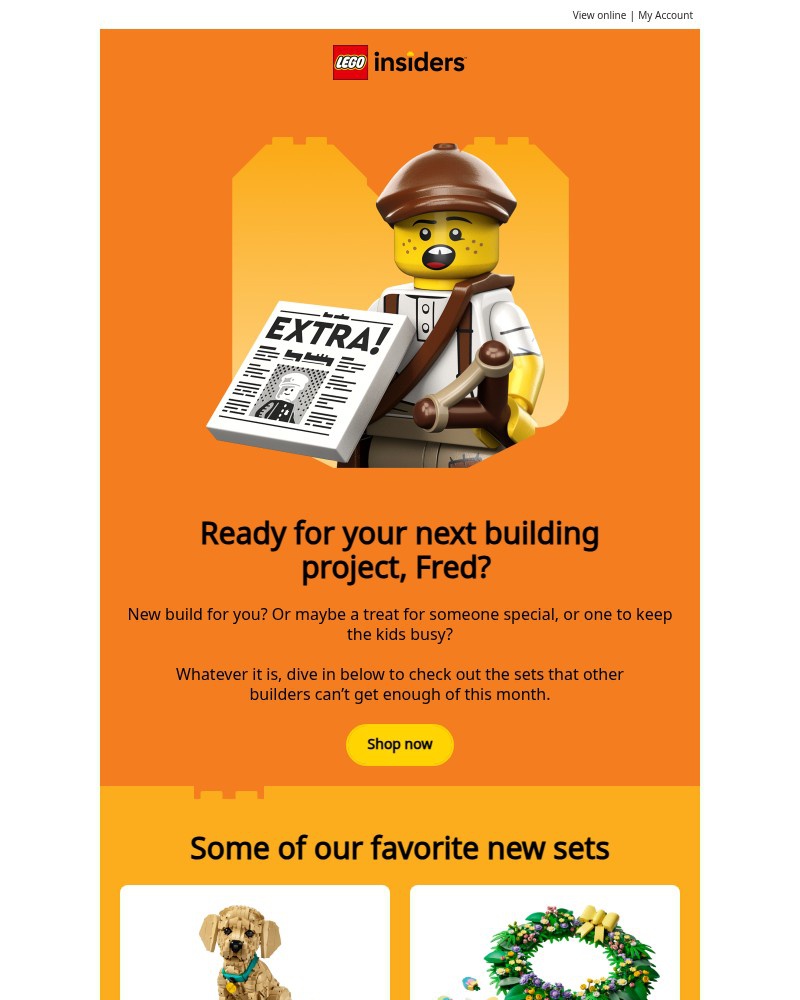 Screenshot of email sent to a Lego Registered user