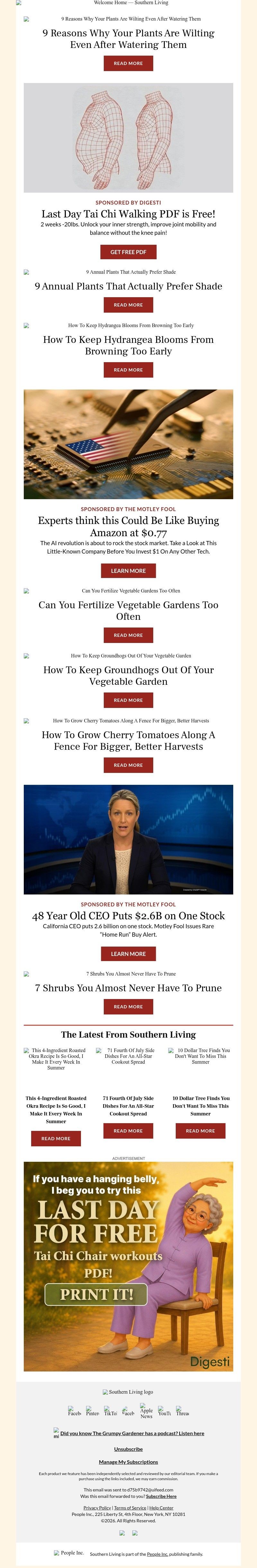 Screenshot of email with subject /media/emails/feed0dfa-3b78-4012-92f1-d69dcec3d04b.jpg