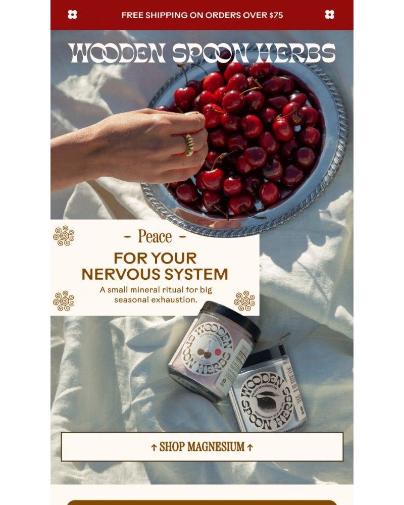 Screenshot of email with subject /media/emails/feeling-wiped-out-lately-8d346e-cropped-26a0e007.jpg