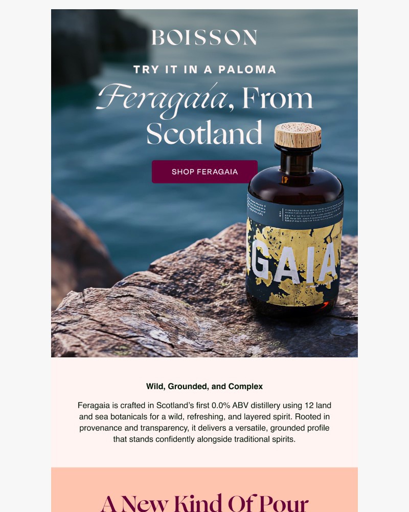 Screenshot of email sent to a Boisson Newsletter subscriber