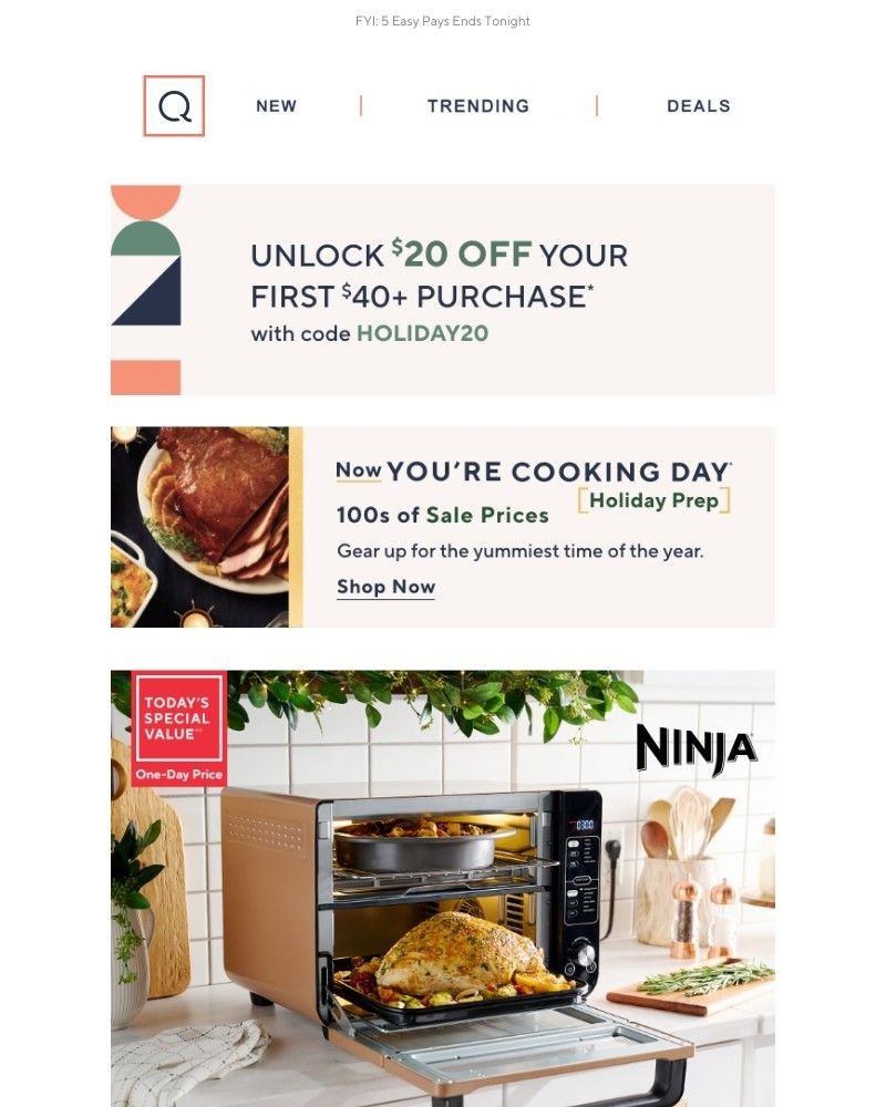 Screenshot of email with subject /media/emails/festive-foodie-sale-prices-ft-ninja-0e7479-cropped-95c3658b.jpg