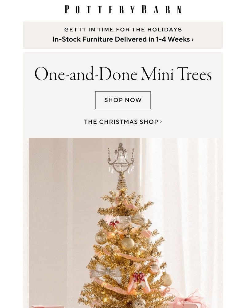 Screenshot of email with subject /media/emails/festive-trees-that-fit-anywhere-264da8-cropped-73fb7425.jpg