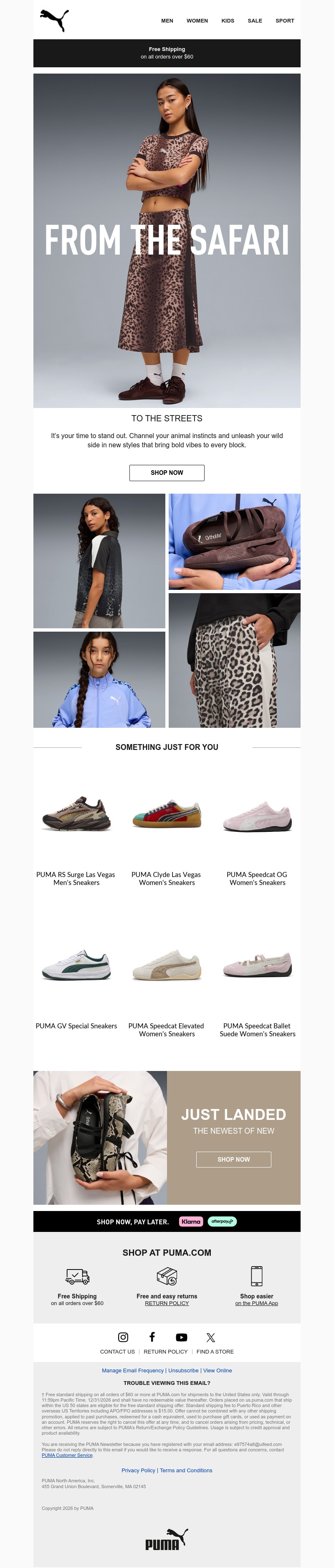 Screenshot of email with subject /media/emails/ff61707f-4287-4f2b-a2ca-a127c2fab2e8.jpg