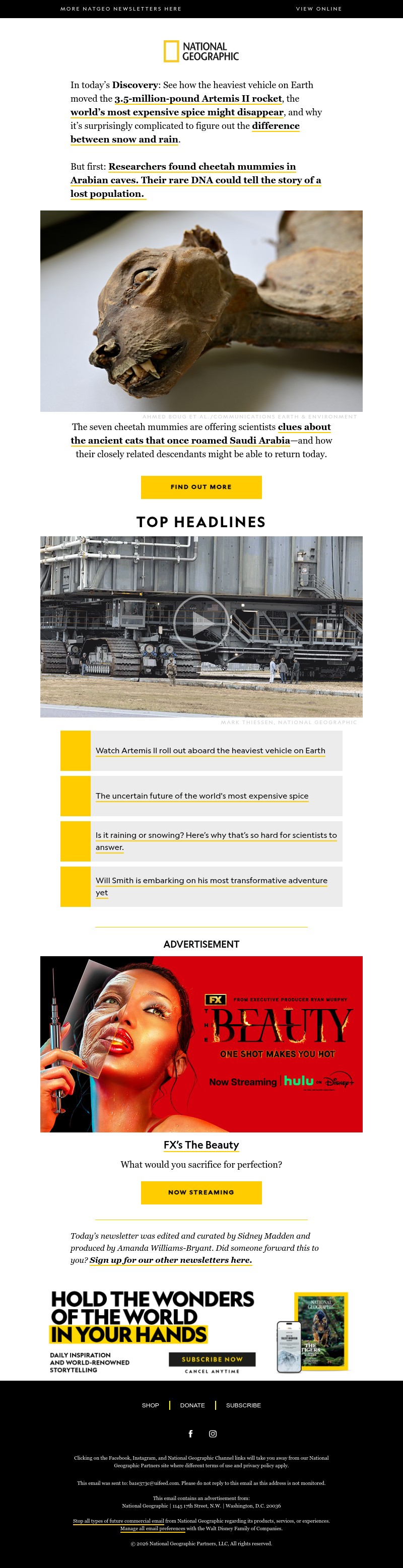 Screenshot of email with subject /media/emails/ffd80462-c1b9-49fc-97a8-0aaa8aa71cf2.jpg