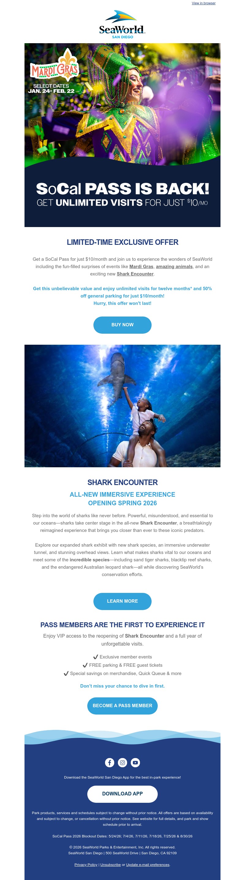 Screenshot of email with subject /media/emails/ffd9cea9-f068-4b29-996c-ce451a9831ff.jpg