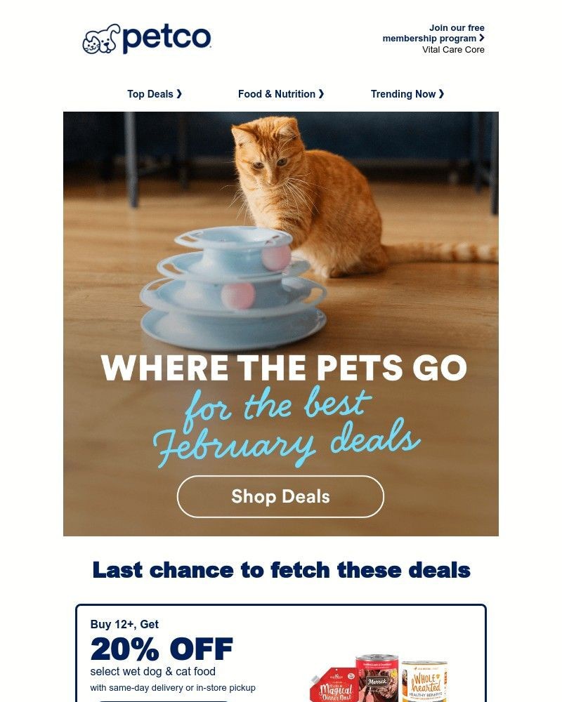 Screenshot of email with subject /media/emails/file-return-fetch-these-deals-1410fb-cropped-9c7a011e.jpg