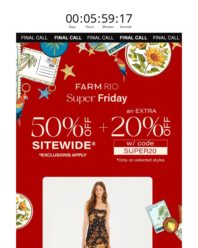 Screenshot of email sent to a Farm Rio Newsletter subscriber