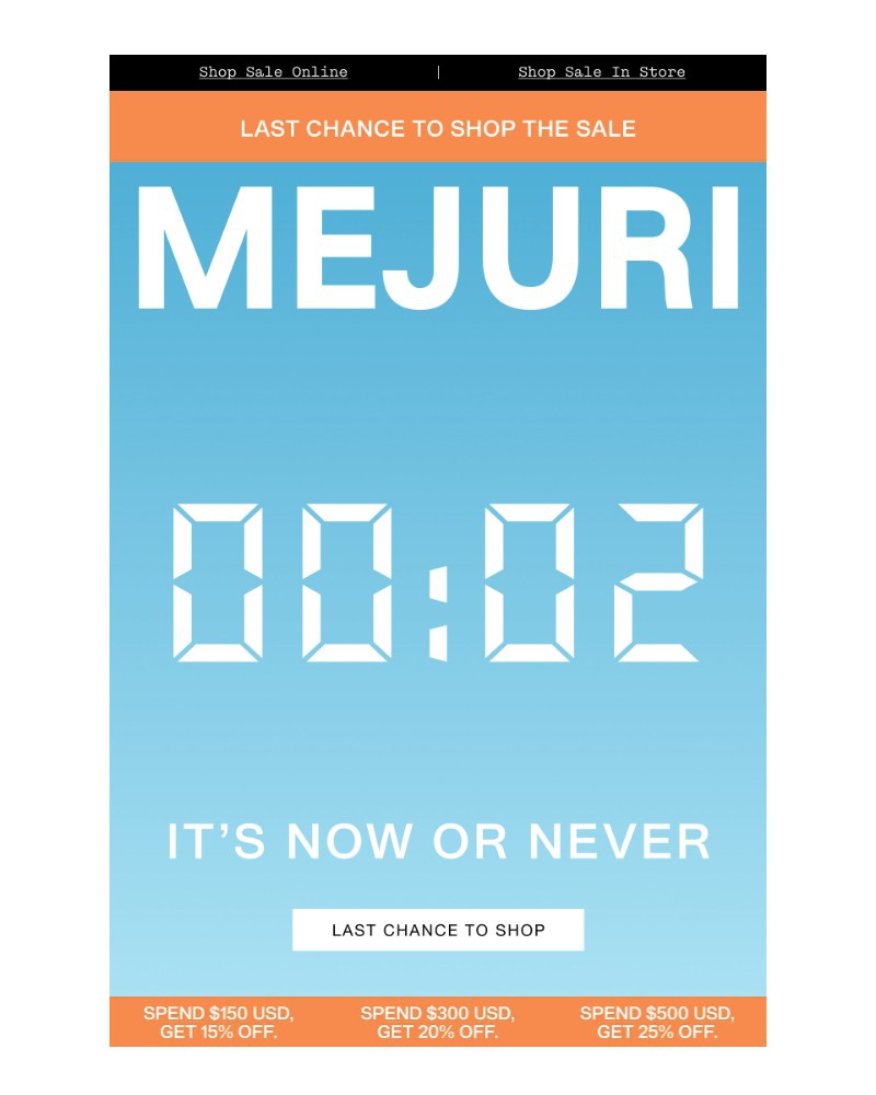 Screenshot of email sent to a Mejuri Registered user
