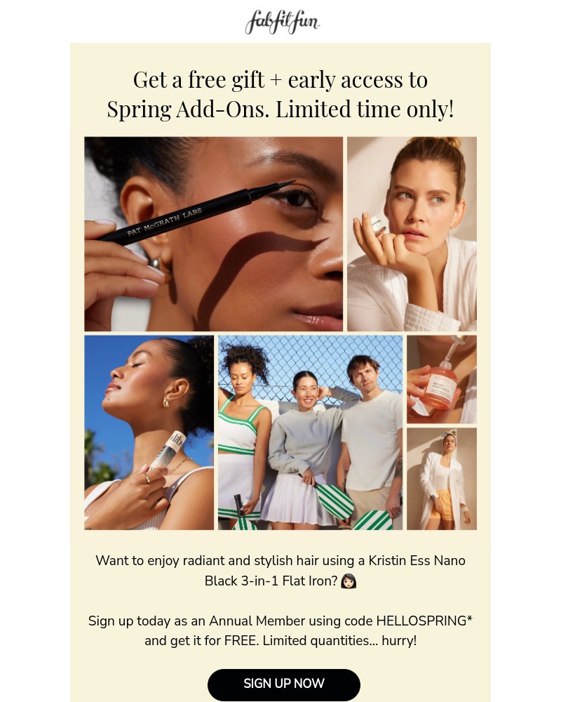 Screenshot of email with subject /media/emails/final-call-unlock-exclusive-early-access-to-spring-add-ons-sale-9d9933-cropped-426f08b9.jpg