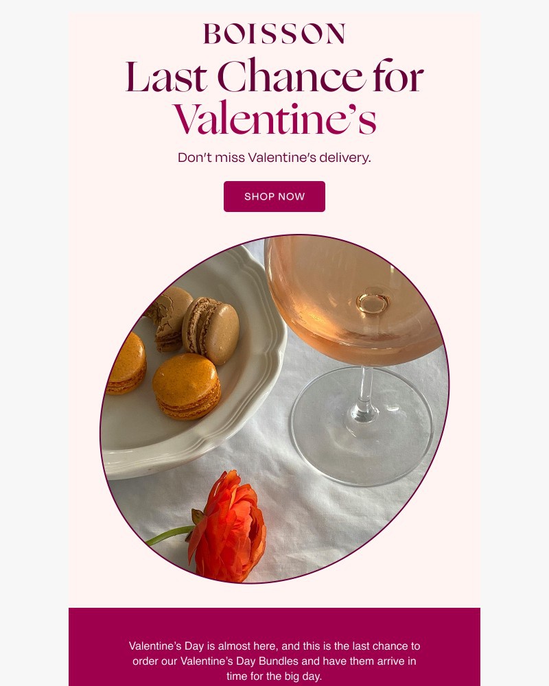 Screenshot of email sent to a Boisson Newsletter subscriber