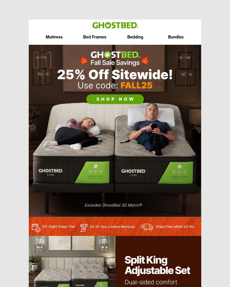 Screenshot of email with subject /media/emails/final-chance-25-off-everything-f25c23-cropped-6f5ee938.jpg
