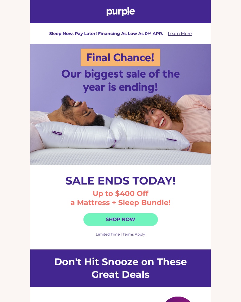 Screenshot of email with subject /media/emails/final-chance-dont-sleep-through-this-sale-cropped-4e9e3b28.jpg
