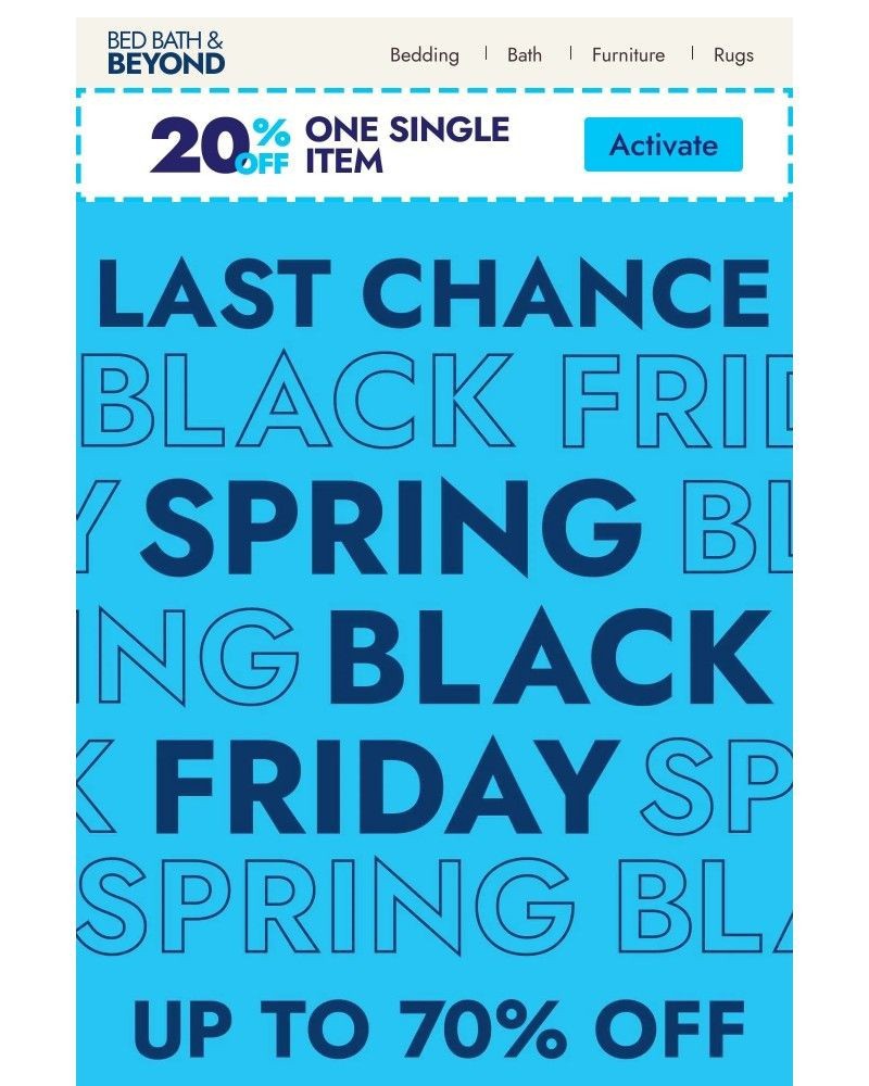 Screenshot of email with subject /media/emails/final-chance-for-spring-black-friday-e5d784-cropped-6ba2cda6.jpg