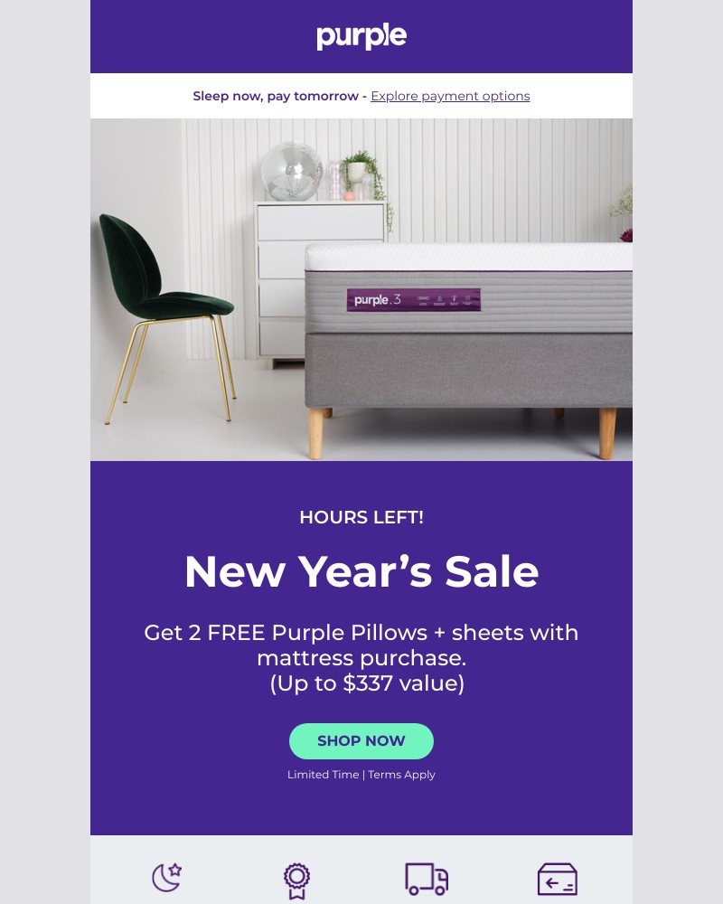 Screenshot of email with subject /media/emails/final-chance-new-years-sale-ends-today-cdab58-cropped-9773abda.jpg