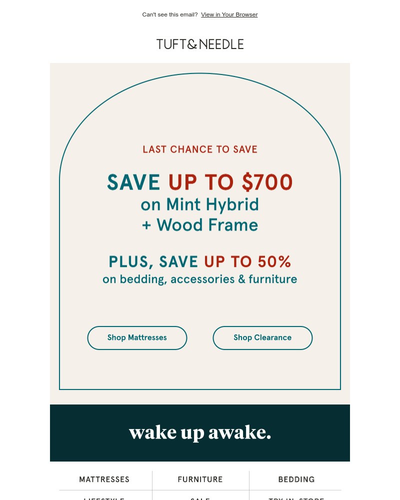 Screenshot of email with subject /media/emails/final-chance-to-save-big-60243f-cropped-a2100767.jpg