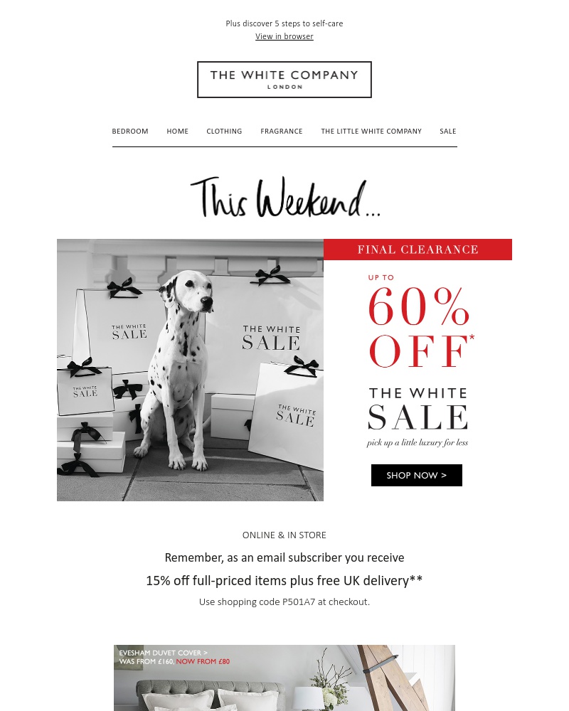 Screenshot of email with subject /media/emails/final-clearance-continues-shop-our-last-chance-edit-cropped-d5c39835.jpg