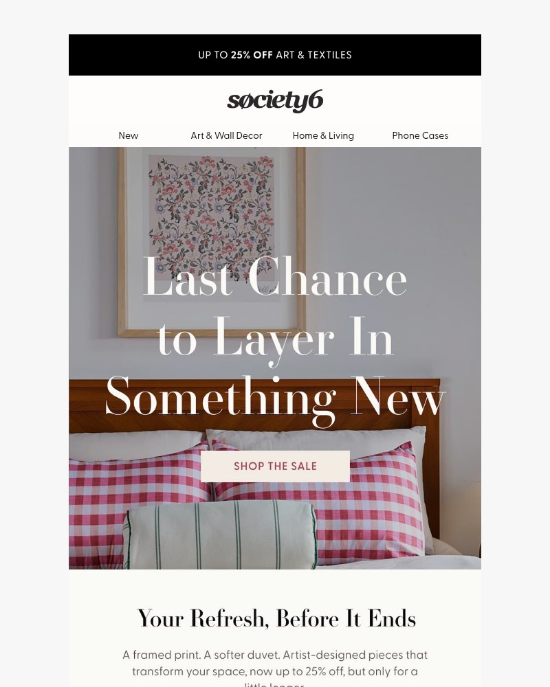 Screenshot of email sent to a Society6 Newsletter subscriber