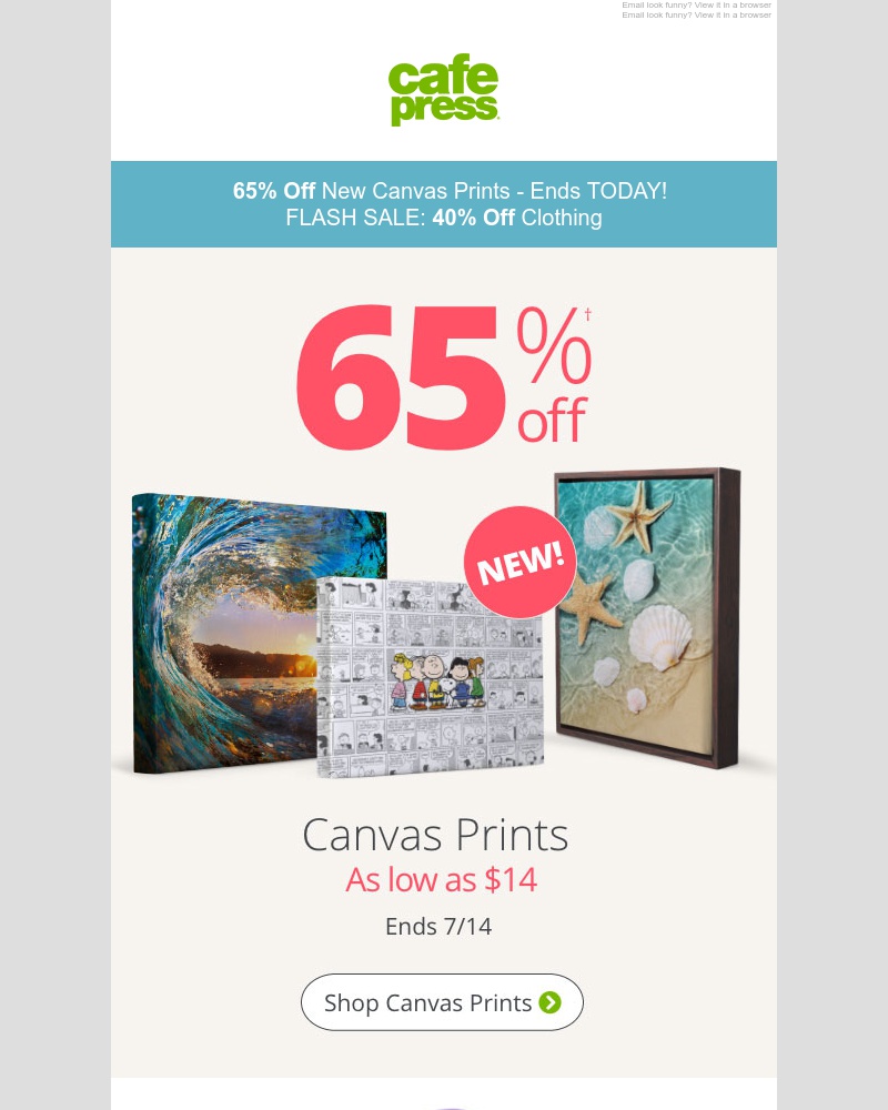 Screenshot of email with subject /media/emails/final-day-65-off-new-canvas-prints-ends-tonight-cropped-d5d7f0ec.jpg