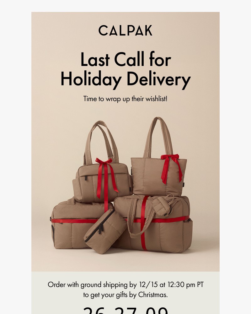 Screenshot of email with subject /media/emails/final-day-for-holiday-delivery-07d46a-cropped-ab8c08b3.jpg