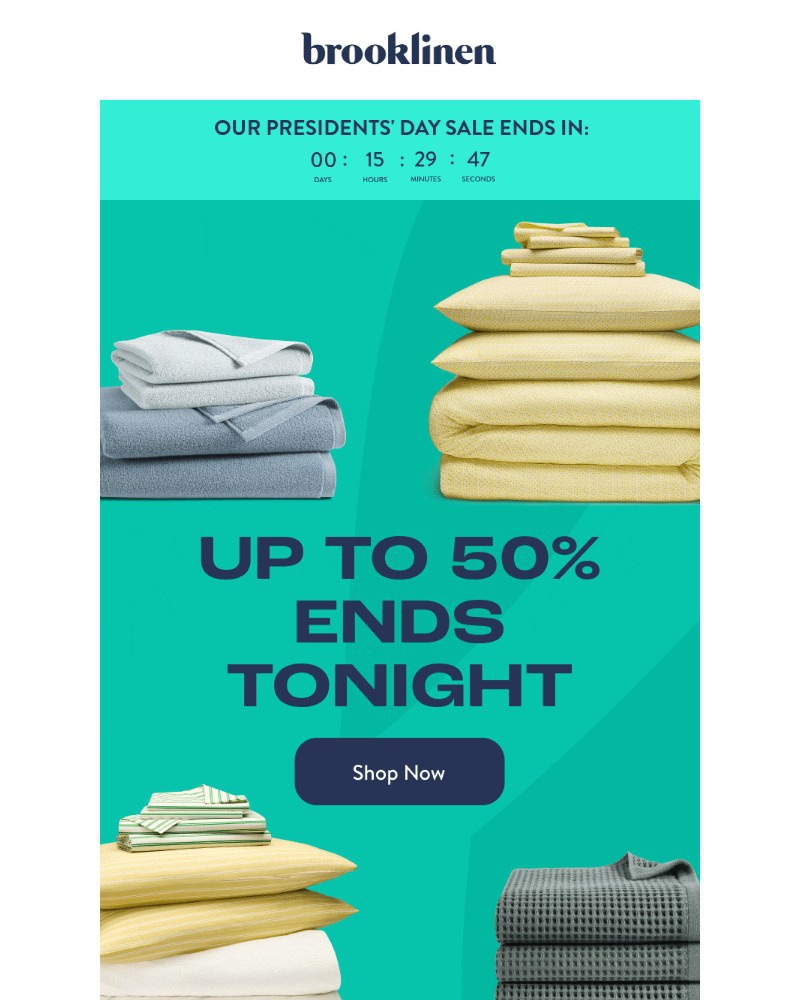 Screenshot of email with subject /media/emails/final-day-for-our-presidents-day-sale-07ed01-cropped-c31f724d.jpg
