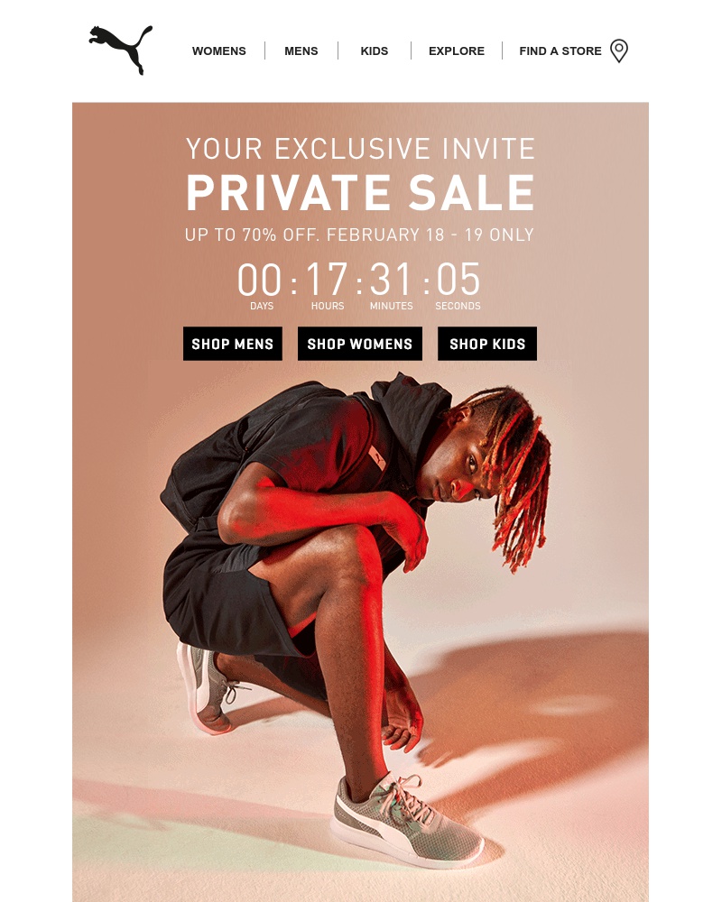Screenshot of email with subject /media/emails/final-day-for-private-sale-cropped-ab0f1d7f.jpg