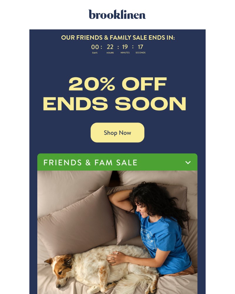 Screenshot of email with subject /media/emails/final-dayfor-real-6ef3b6-cropped-f781b516.jpg