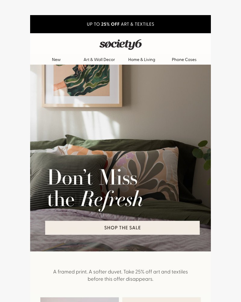 Screenshot of email sent to a Society6 Newsletter subscriber